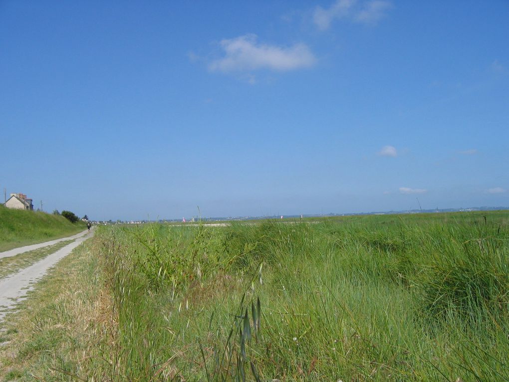 normalement avec les flêches vous ne devriez pas vous perdre