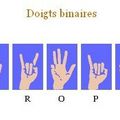 Doigts binaires