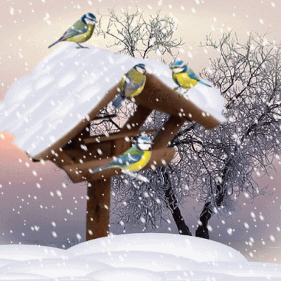 Syssy est de retour tout doucement...