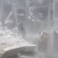 !!Génocide à Gaza: J 592!! Le Conseil de sécurité interpellé par le chef de l'humanitaire de l'ONU