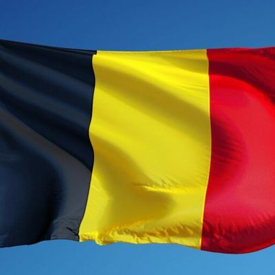 Belgique : La frite belge bientôt article de luxe ?