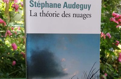 La théorie des nuages - Stéphane Audeguy