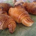 Viennoiseries