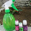 Spray répulsif anti-mouche pour nos amis les chevaux!