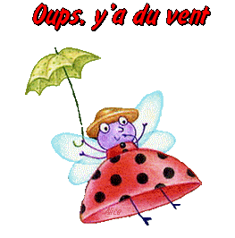 Broderie Patchwork Printemps de Jardin Privé : 3