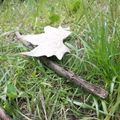 Une feuille tombé de sa branche, comme un nous tombant d'un rêve ..