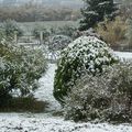 La neige est tombée !