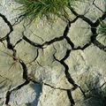 Marais salants de Guérande - Du côté de "Sissable"