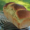 Brioche au fromage blanc