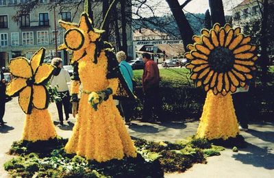 La fête des jonquilles de Gérardmer dans les Vosges…