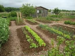 une petite poésie...