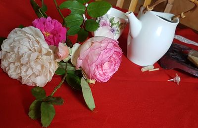 Un gros oubli... mais des fleurs à gogo
