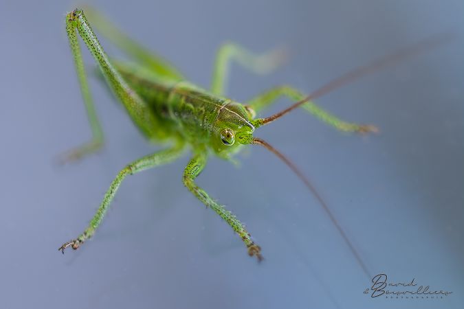 Diaporama des photographies exposées.