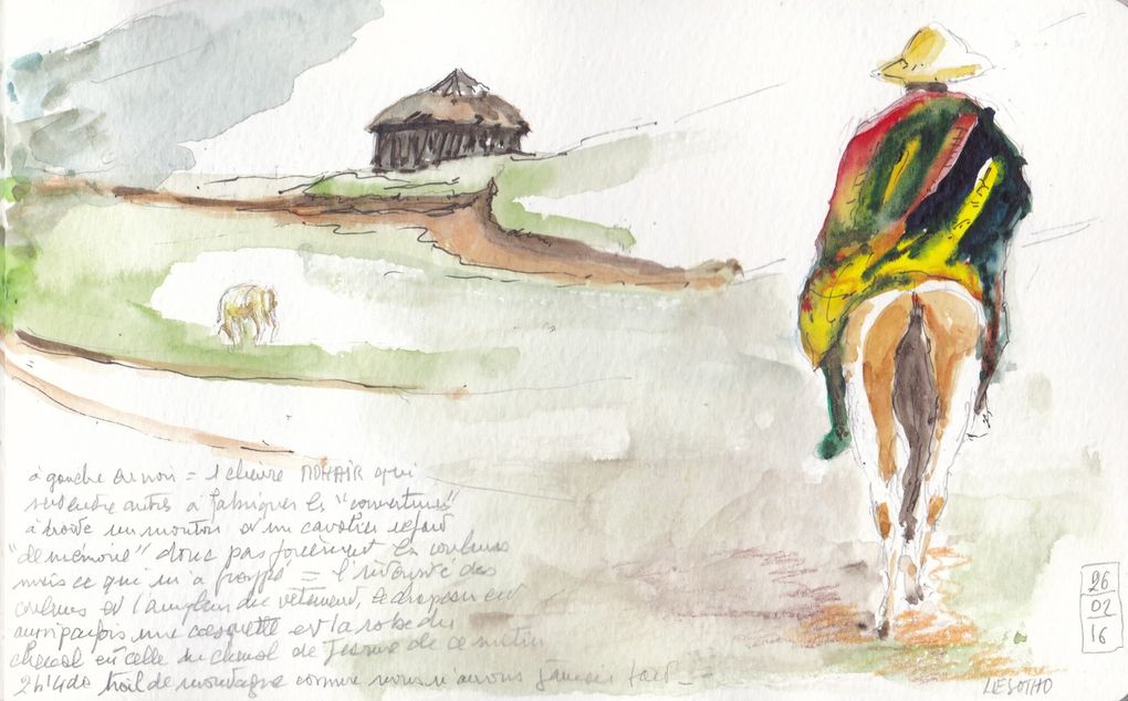 Médecine traditionnelle et paléoanthropologie 