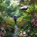 le jardin du Petit Bordeaux 