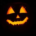 Halloween débarque dans Pikmin Bloom sous Android et iOS