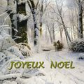 Joyeux Noël !