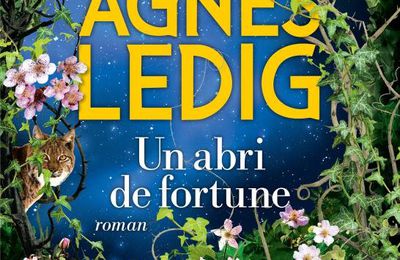 Agnès Ledig "Un abri de fortune"