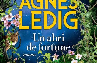 Agnès Ledig "Un abri de fortune"