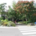 Rond-point à Le Chesnay