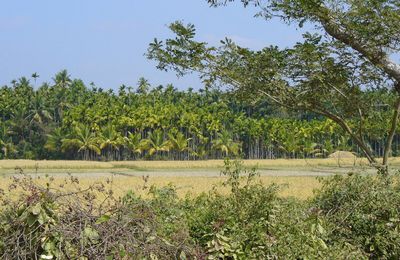 De Bangalore à Calicut