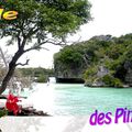  Île des Pins ღ