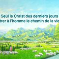 Seul le Christ des derniers jours peut montrer à l’homme le chemin de la vie éternelle