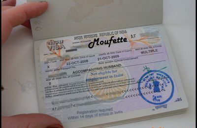 Où j'obtiens mon visa : Entry Visa et PACS, une épopée moderne ? (Seventh step to India).