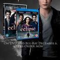 Tour d'horizon d'autres dates et versions du DVD d'Eclipse