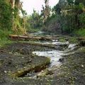 Une rivière  en Slovénie et au Costa Rica ont disparu après un tremblement de terre.