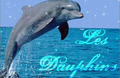 Mes amis les dauphins