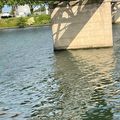 fleuve