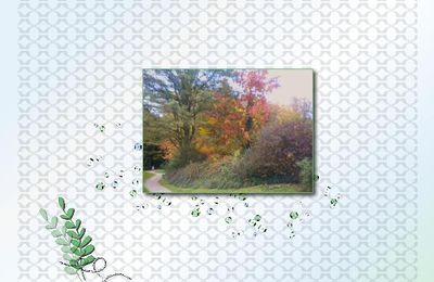 * Couleurs de la nature