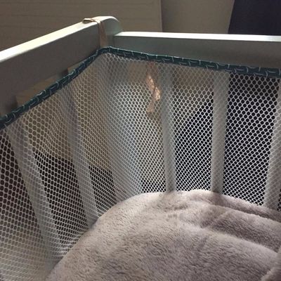 SOS suicide de sucettes...