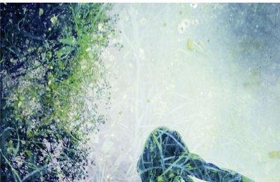 NOUVEAUTE POCHE  : PARLE TOUT BAS ; ELSA FOTTORINO  : Comment vivre après ?