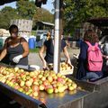 Le jus de pomme est prêt !