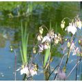 Au Jardin des Quatre Temps 