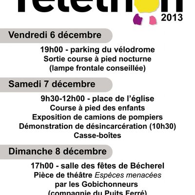 TELETHON 2013