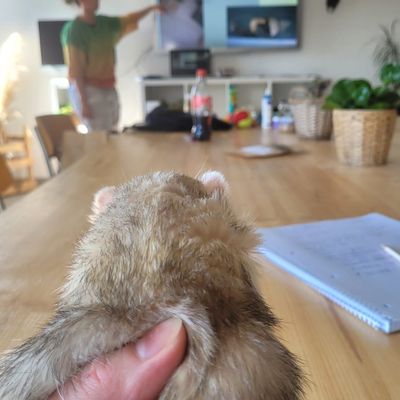 Les cours du jour chez Erminea