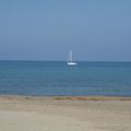 Promenade sur la plage .........