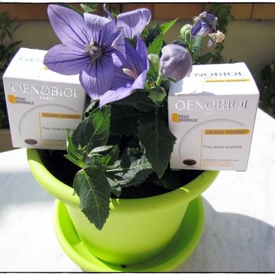 Testons le soleil !!!