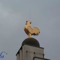 Lyon #3 - Le coq du Pathé Bellecour