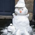 Des différentes espèces de bonhommes de neige à Rennes le 10 février 2021 (2)