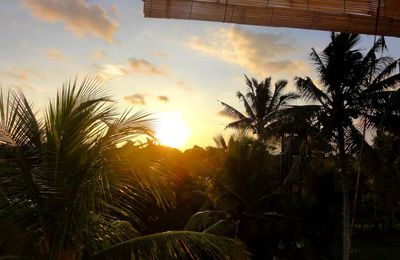 Lundi 31 mars - Nyepi - Jour du silence