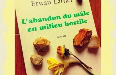 L'ABANDON DU MALE EN MILIEU HOSTILE - Erwan LARHER