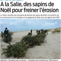 Erosion des dunes