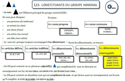 Contribution - Grammaire Picot CM1-CM2