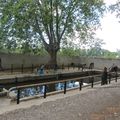 19 juin 2016 : la journée au lavoir du village !