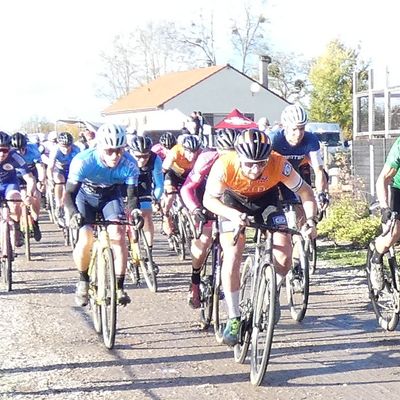 2 Novembre 2025 Les Anciens encore bien verts sur Les Terres Rouges 