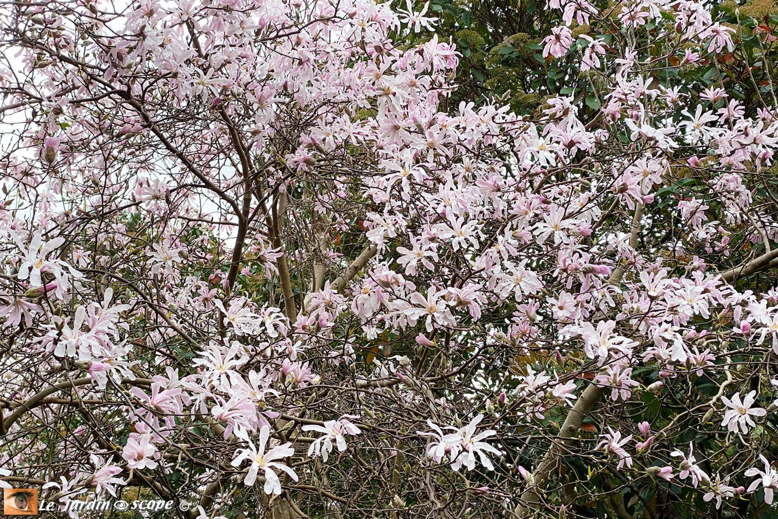Arboretum Grandes Bruyères